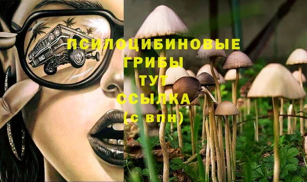 меф Арсеньев