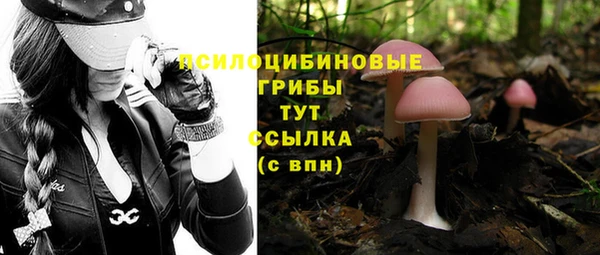 прущие грибы Алексеевка