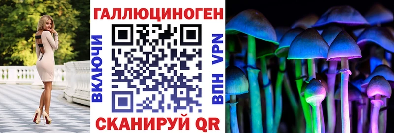 Псилоцибиновые грибы Magic Shrooms  Ростов 